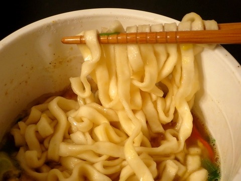 a-udon11