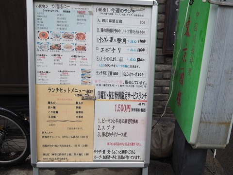 a-P4100022