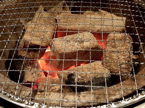a-ushi17