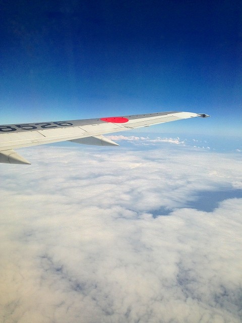 a-Ishigaki0002