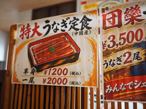 a-P6230022