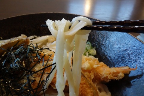 a-DSC09187