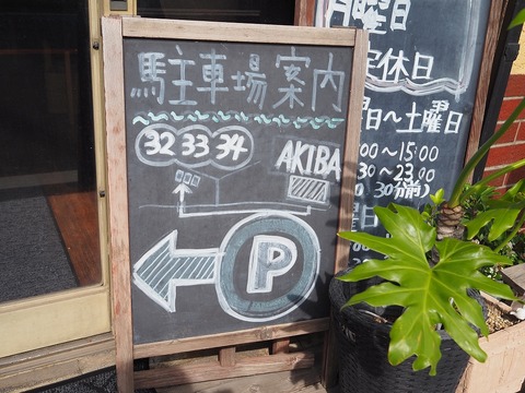 a-P6170041
