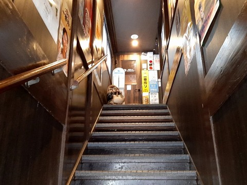 a-taka08