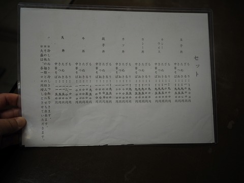 a-P4280113