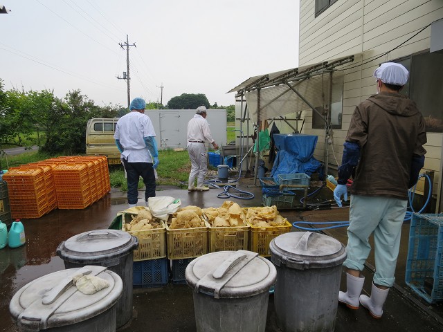 鴨の屠殺体験してきました ブログbｙフードジャーナリスト はんつ遠藤