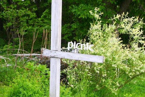 a-biei0202