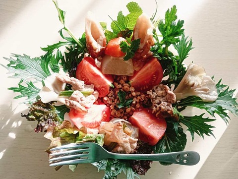 a-IMG_20250225_083215