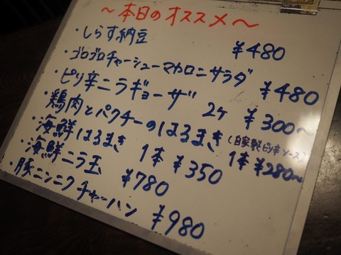 a-P6160008