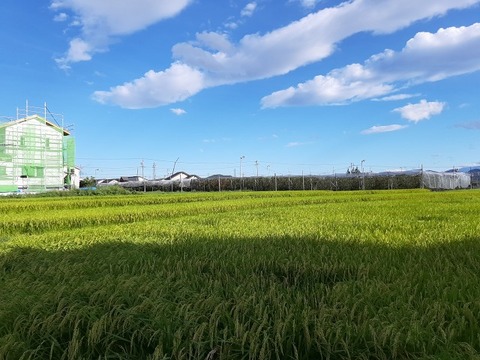 a-ue15