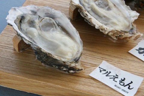 a-kushi0514