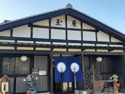 a-tamaya1