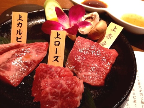 a-ushi18