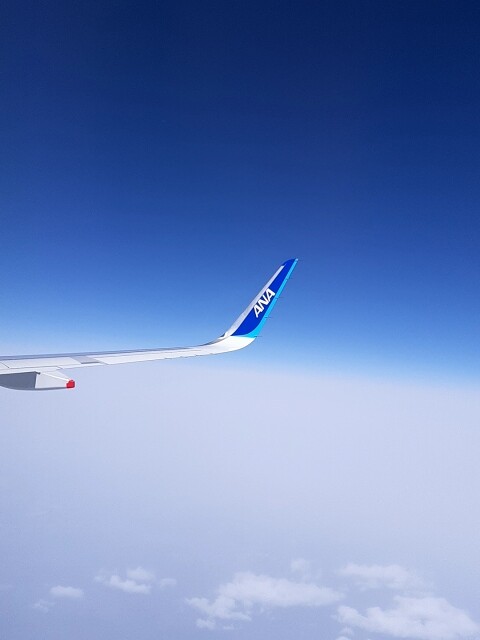 a-20220310_113548784
