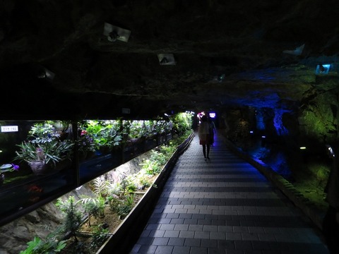 a-seoul2418