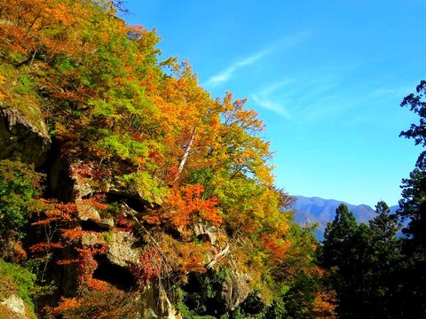a-yamagata0010