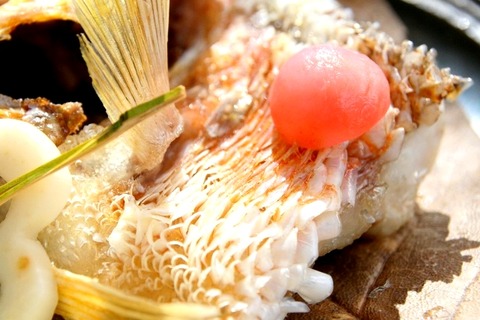 a-kaikatei09