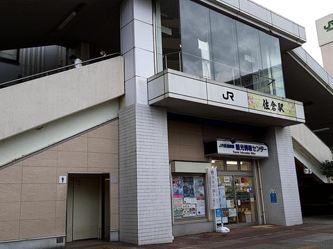 sakura2