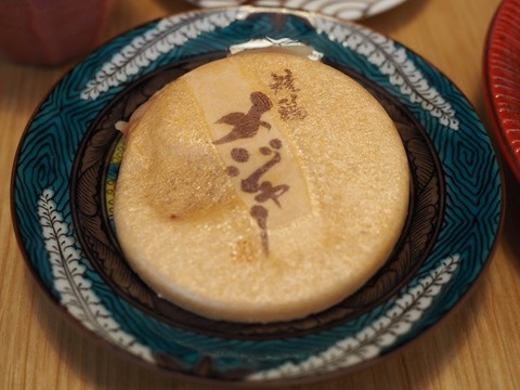 a-P8060088