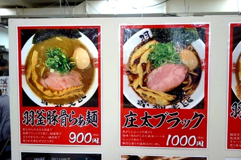 a-DSC01108