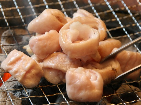 a-horiguchi08