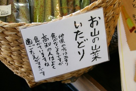 a-kouchi0505