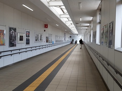 a-20230628_130511035