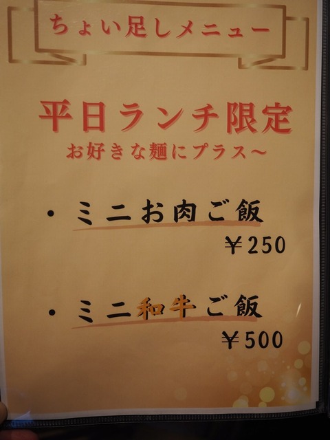a-PA040094