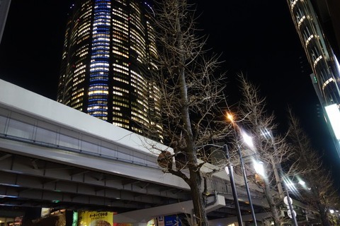 a-yucchan01
