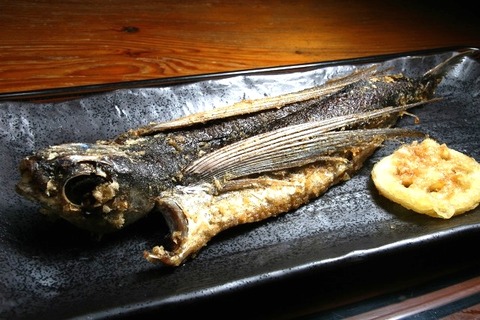 a-yaku0116
