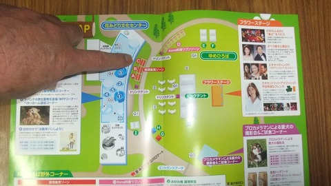 318513_199765220099907_100001992921706_442902_542936011_n