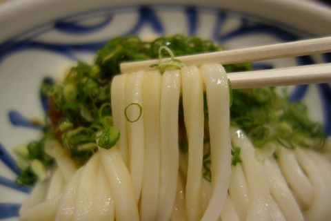 a-DSC00044