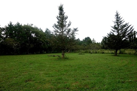 a-fuku0402