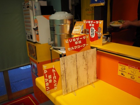 a-P2040062