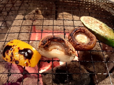 a-ushi32