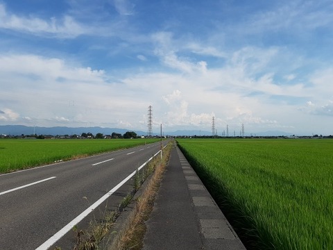 a-nii35