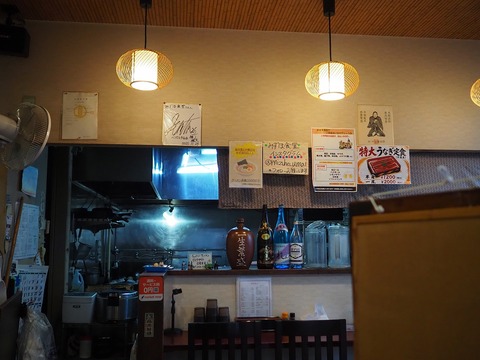 a-P6230034