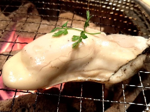 a-ushi26