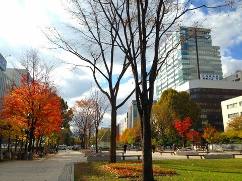 a-sapporo0005