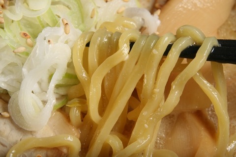 a-shirahige4