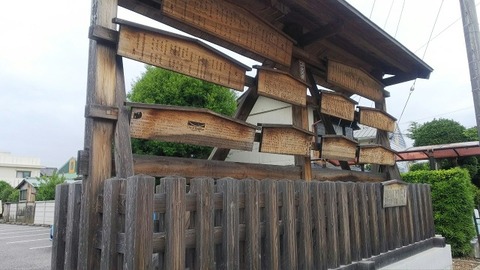 a-line_1632033167525