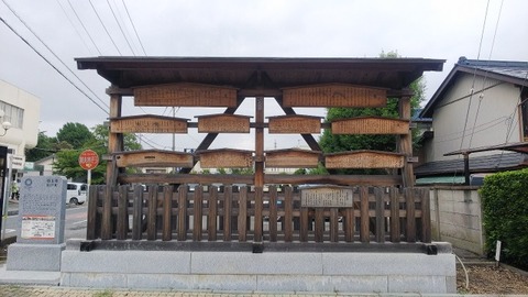 a-line_1631181135333