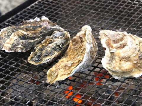 a-miyagi0404