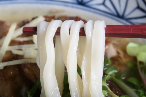 a-nishukawa4