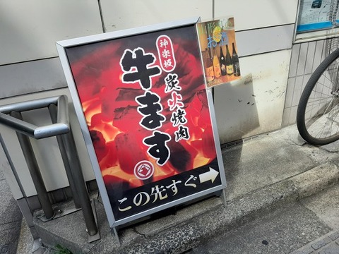 a-ushi02