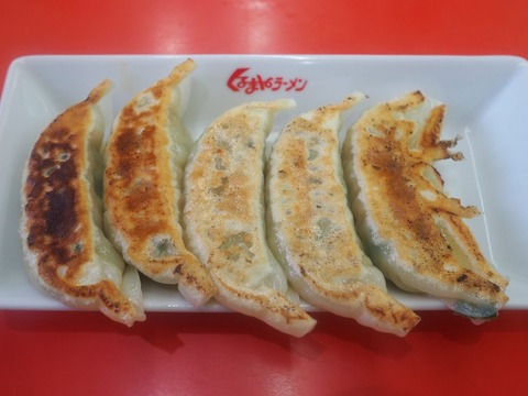 a-P3050048