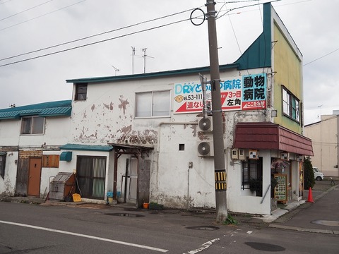 a-P4220103
