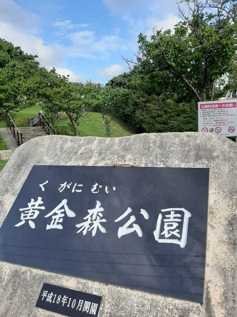 a-oki23