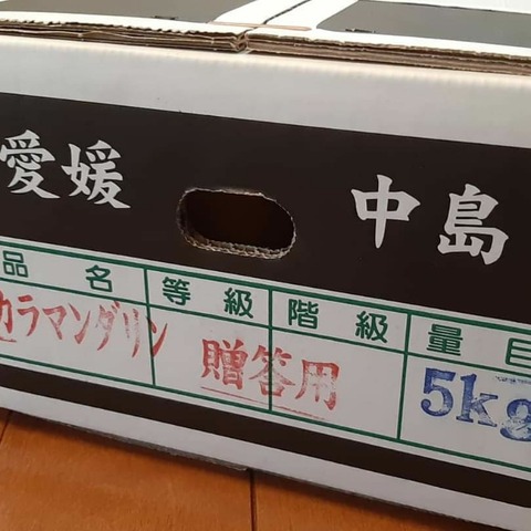 IMG_20210502_094558_572