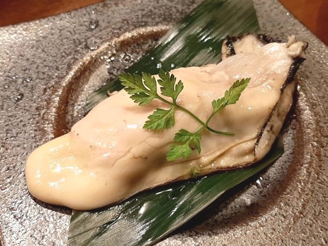 a-ushi24